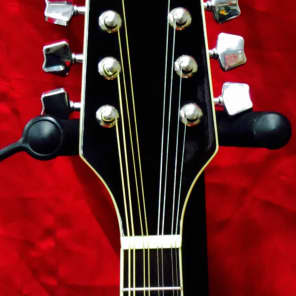 大人気定番商品 Early Vintage 90's Mandolin Electric/Acoustic SM20E Samick 弦楽器