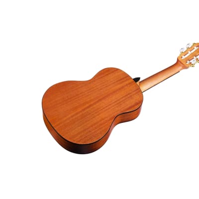 Cordoba Protege C1M 1/4 Size Classical Nylon-String Acoustic Guitar Natural image 2