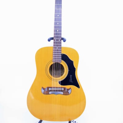 Aspen 12 string deals guitar