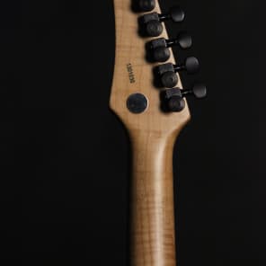Raines Chi Solidbody Electric Guitar Blem 2014 Lemon Drop image 5