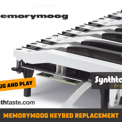 Memorymoog replacement Keybed, Keyboard  kit - Fatar TP/9s Keys image 1