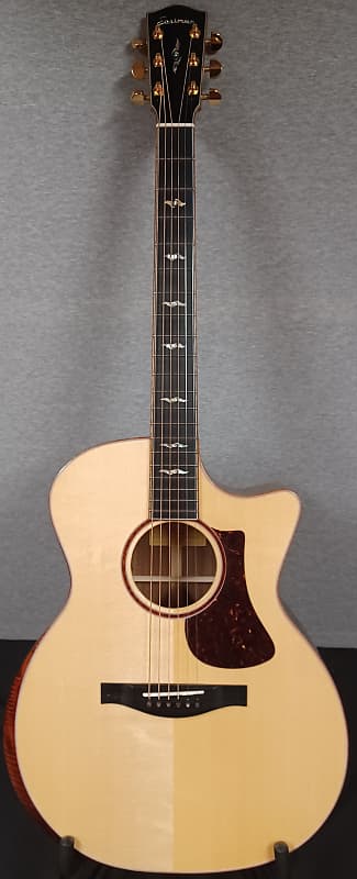 Eastman AC522CE with Hard Shell Case image 1