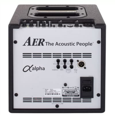AER Alpha 40W 1x8 Acoustic Guitar Combo Amp image 4