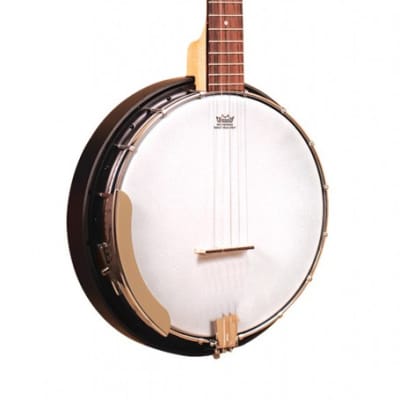 GOLD TONE AC-5 5-Saiter Bluegrass Banjo mit Tasche for sale