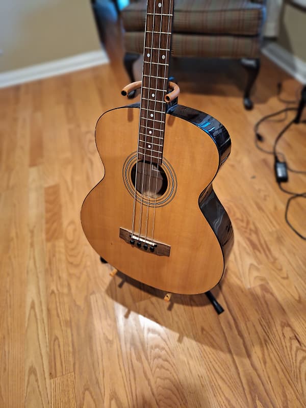 johnson acoustic electric bass