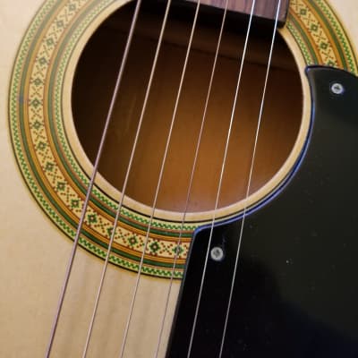 NorMa FG-10 Acoustic Parlor Guitar MIJ 60s Natural image 4