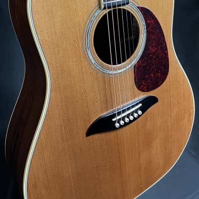 Alvarez Yairi DY50N Slope Shoulder Dreadnought Acoustic Guitar Gloss Natural w/ Case image 5