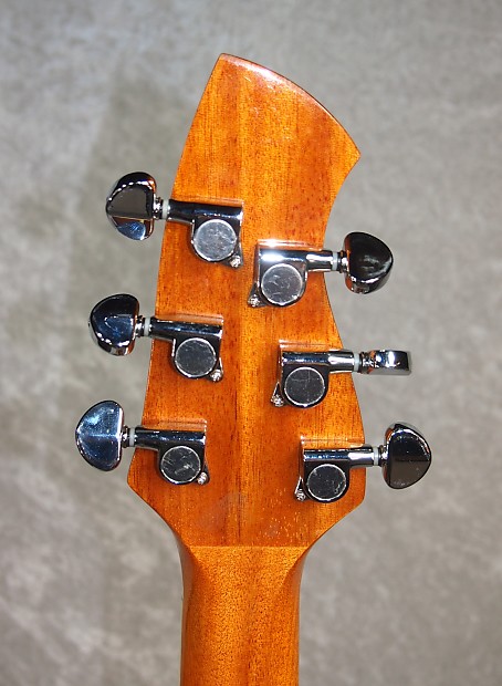 Wechter Pathmaker 3120 acoustic electric guitar with gigbag