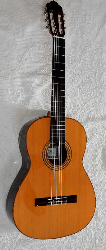 Esteve 3Z classical guitar/ Cedar top / Ziricote back and