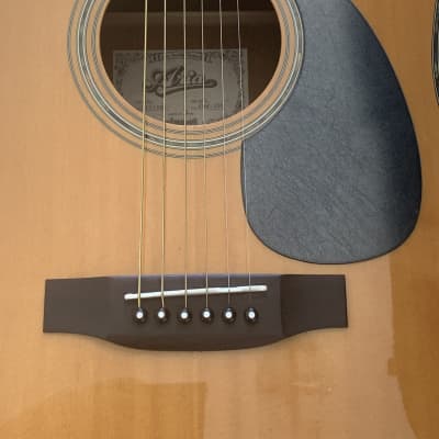 ARIA ドレッドノート　ADW300 eBay 出品予定物: Aria Dreadnought ADW-300 Flattop Acoustic