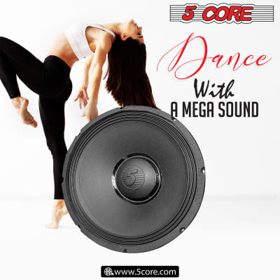 5 Core 15 Inch Subwoofer 3000W PMPO 300W RMS Big Raw Replacement PA DJ Speakers 8 OHM Pro Audio System Loud and Clear Sound 15-185 MS 300W image 11