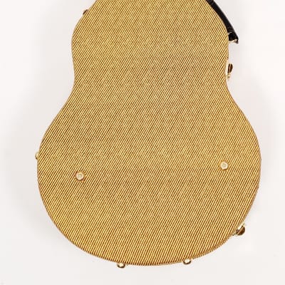 Douglas EGC-450 Premium LP Case Tweed/Gold for Gibson and Epiphone Les Paul image 4