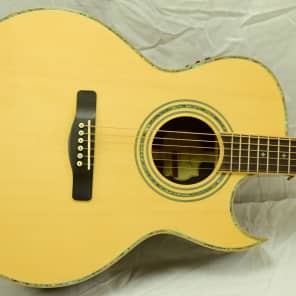 Samick ASMJR CE  Acoustic/Electric Guitar All Solid Wood image 2