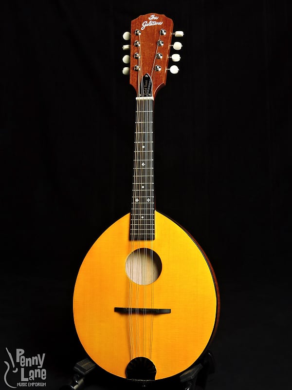 Gold Tone GM-10 Flat-Top Frypan Mandolin with Case image 1