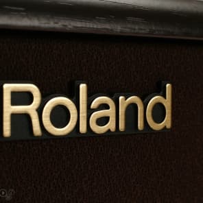 Roland AC-33 30-watt Battery Powered Portable Acoustic Amp - Rosewood image 12