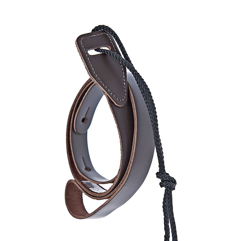 D'Addario Accessories Banjo Strap with Clips - Strap for Banjo - Banjo  Accessories - Nylon - Black,Standard,50BNJ000