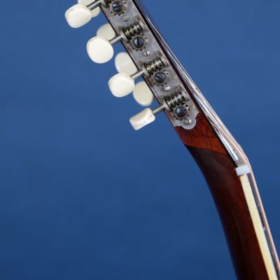 Harmony H1270 Sovereign / 1970 / Stunning! image 12