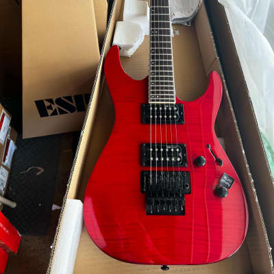 Grass Roots G-KT-48 Knight Model STR 2013 See Thru Red | Reverb
