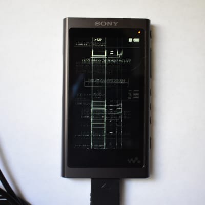 SONY WALKMAN 16GB NW-A55 Hi-Res A Series Audio Player US *FOR