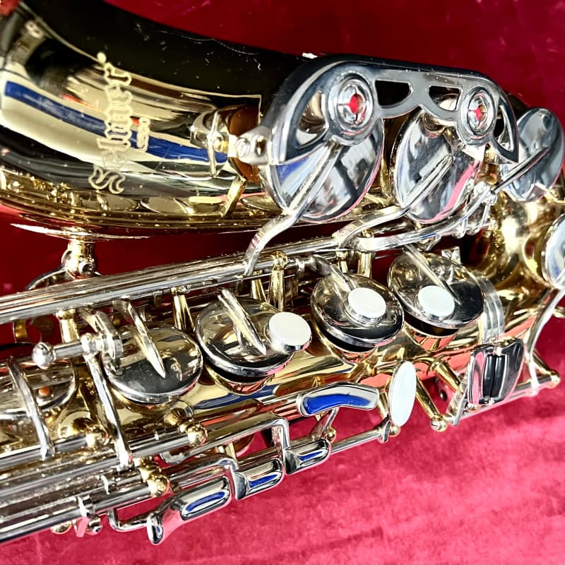 Saxophones - Brass & Woodwinds - Musical Instruments - Products