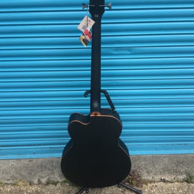 Aria - FEB F2M - Electro Acoustic Bass Guitar image 5