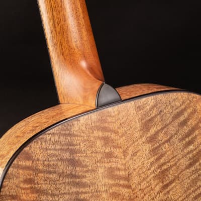 Prohaszka Parlour 2022 Masterbuilt Sitka Figured Mango Wood Not Lowden Mcilroy image 16