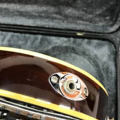 Jay Turser Violin Bass  with Epiphone HSC - 2000s Aged 3-Color Sunburst image 9