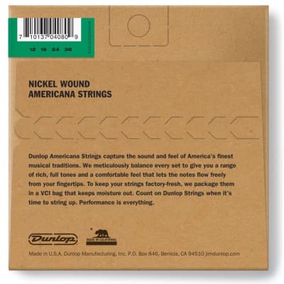 Dunlop DJN1236 Americana Series Irish Tenor Banjo Strings- Loop End, 4-String Set image 2