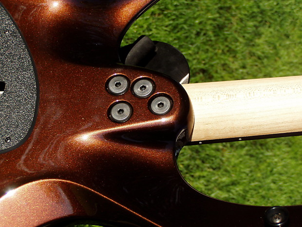 PARKER FLY Maxxfly DF624 Rootbeer | Reverb