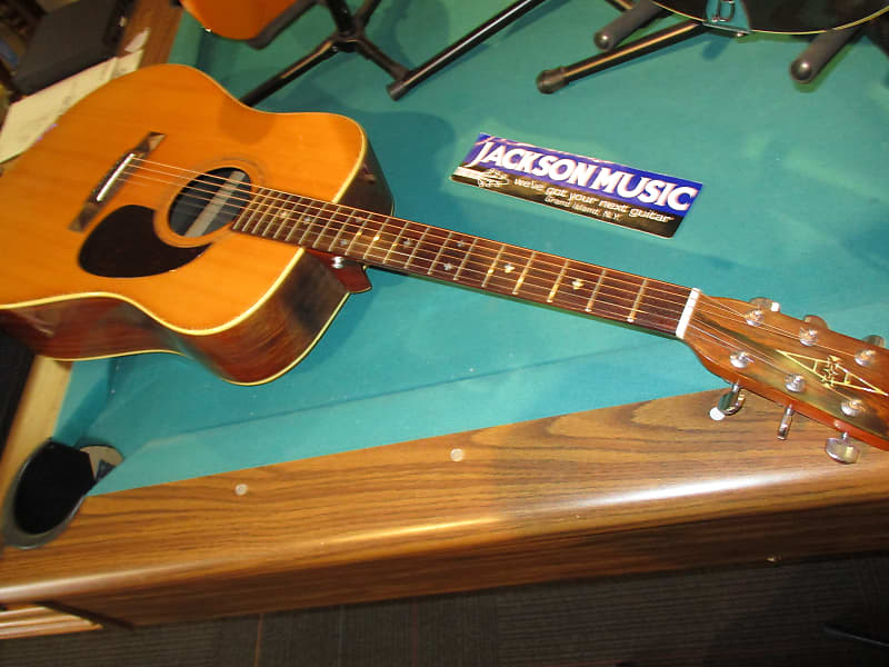 Alvarez Model 5059 Acoustic Reverb