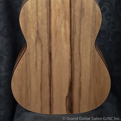 Raimundo Tatyana Ryzhkova Signature model, Cedar top  classical guitar image 10