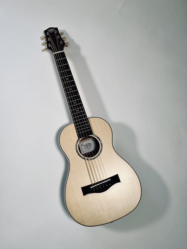 Steel string store guitalele