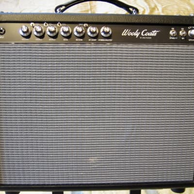 3rd Power Wooly Coats Extra Spanky 6VEL 1x12 Combo - Black / Silver - MINT image 1