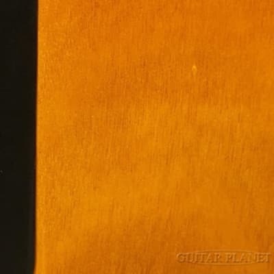 Carruthers CSA Model 【with Piezo Pickup】【Made In USA】 2009 - Honey Sunburst image 5