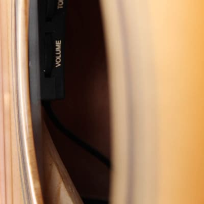 Breedlove Organic Signature Concert Copper CE Acoustic Electric Guitar DEMO image 6