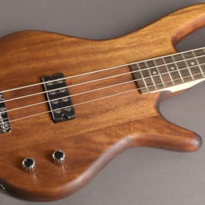 Ibanez gio gsr100ex on sale