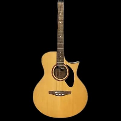 Riversong  Stylist CS (fanned frets) Acoustic Guitar for sale