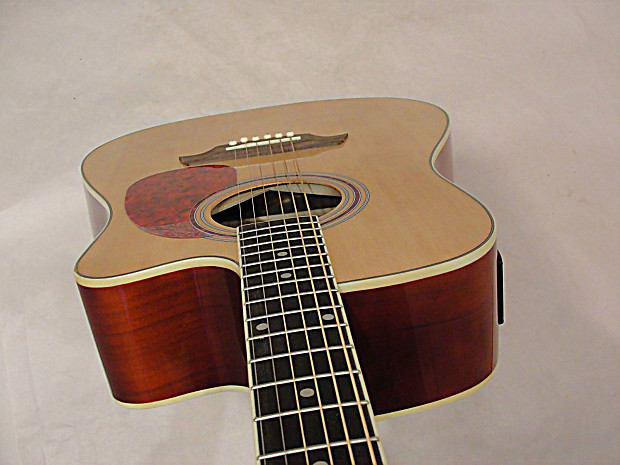 Giannini performance guitar cheap