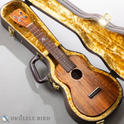 Sofla Concert Koa 2017 image 13