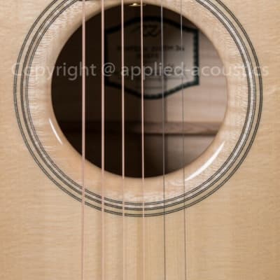 Rozawood Rhapsody custom DG (Drop-D guitar) image 5