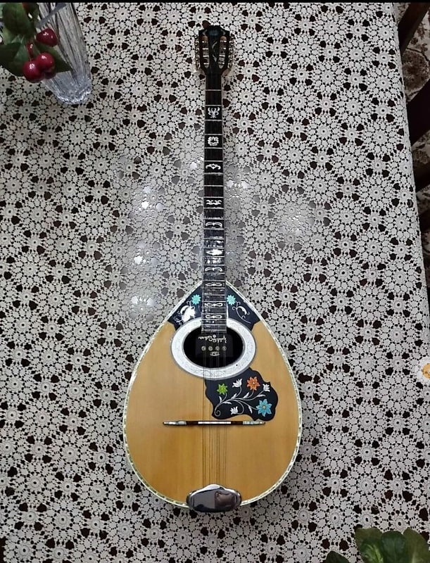 Greek Bouzouki with pickup & hardcase & 300 backing track Reverb