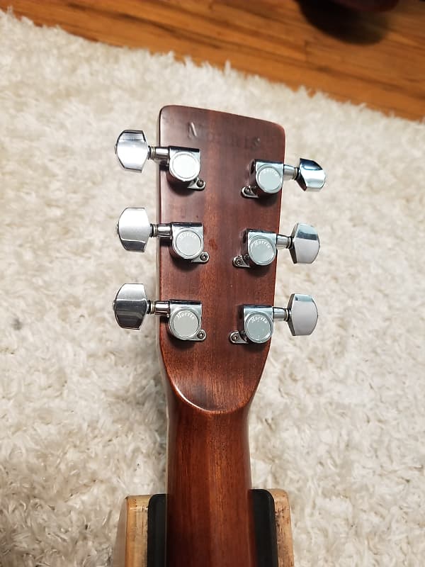 Morris F-30 Size 0.M (rare) | Reverb