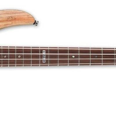 ESP LTD B-204SM Spalted Maple Bass Guitar, Natural Satin image 2