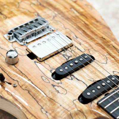 T's Guitars DST-Pro 22 Carved Spalted -Natural- 2021 [Made in Japan] image 5