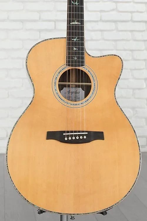 PRS SE A60E Angelus | Reverb