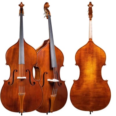 Czech Ease Acoustic Road Bass from David Gage with Flight Case