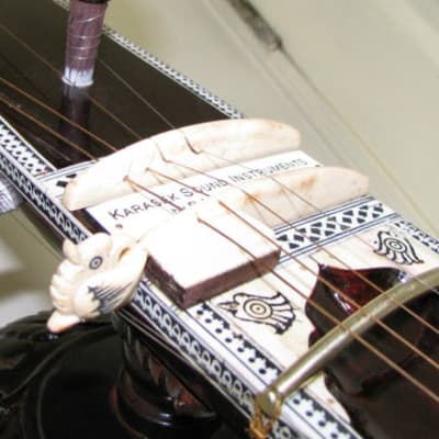 Karasek Sound Hemraj 8 String 2004 image 9