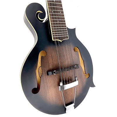 Gold Tone F12 F-Style 12-String Mando-Guitar 2021 Tobacco Sunburst Satin image 2