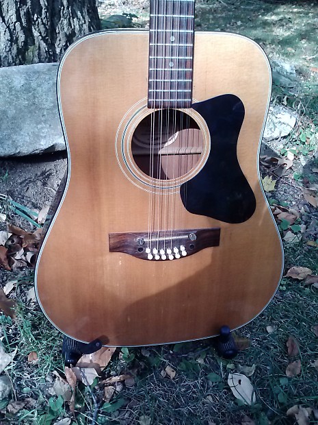 Madeira 12 2025 string guitar