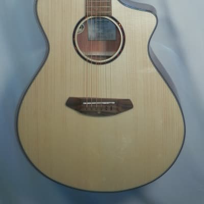 Breedlove Discovery S Concert CE European-African mahogany Natural Gloss Finish image 1